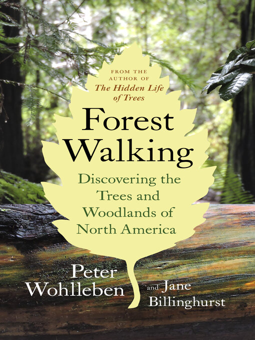 Title details for Forest Walking by Peter Wohlleben - Wait list